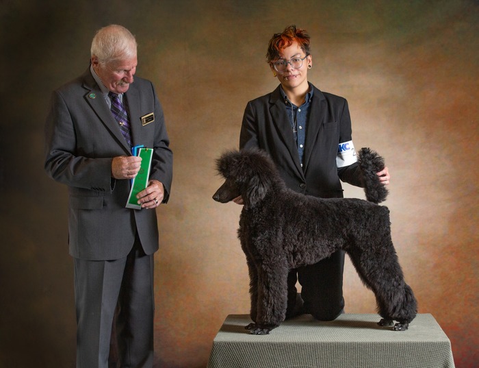 Contact Clearwatergroomingandpetcare